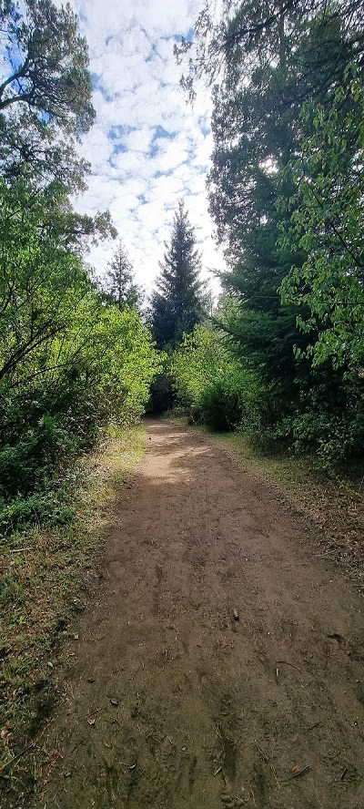 Sendero para el Mirador. Primera trepadita. Camino de Bosque. Rumbo al Blanco