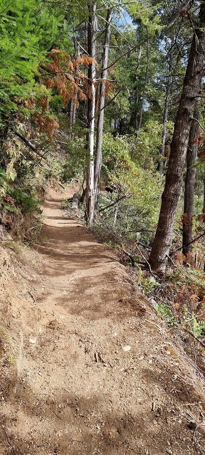 Última trepada para llegar al Mirador. Rumbo al Blanco