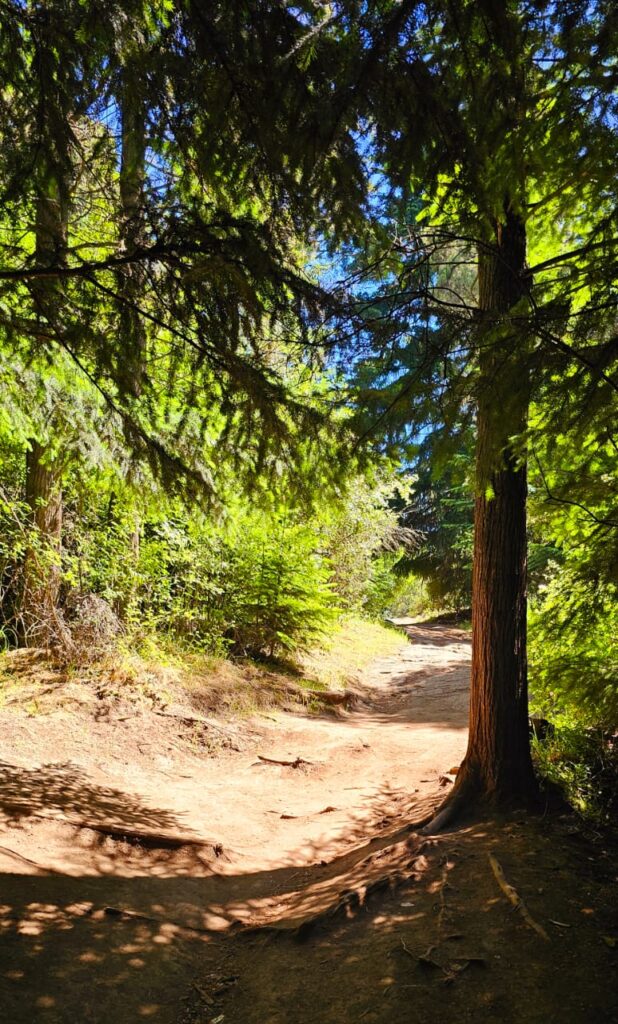 Caminata poética en Cerro Amigo. Primera parada