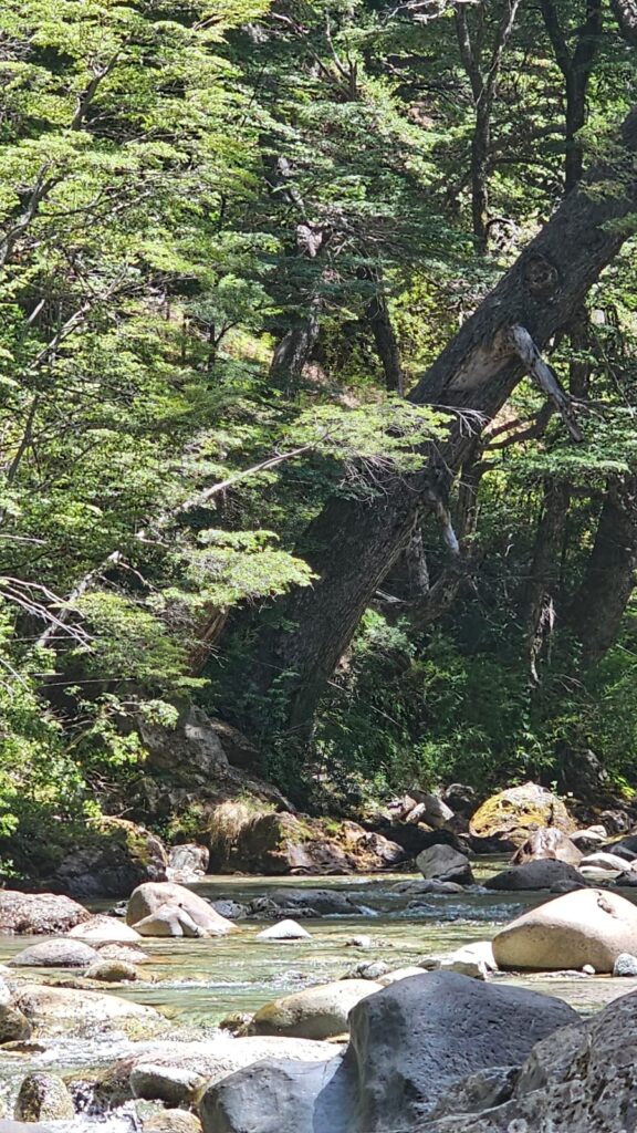 Arroyo Casa de Piedra Bariloche