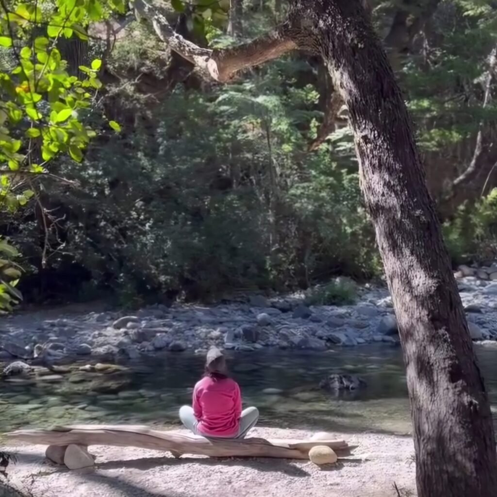 Arroyo Casa de Piedra. Baño de Bosque