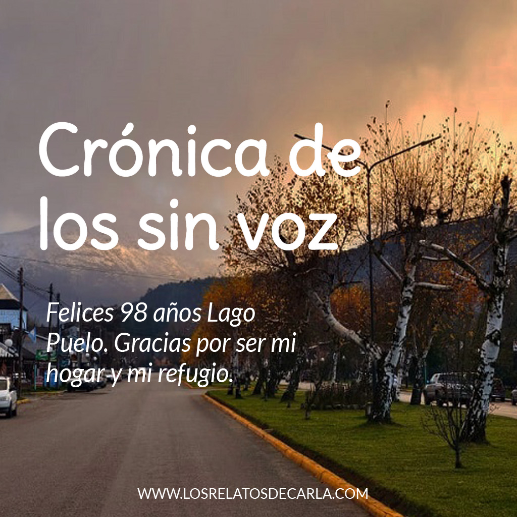 CRÓNICA DE LOS SIN VOZ LAGO PUELO